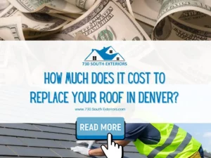 Front image of a blog titled "How much does it cost to replace your roof in Denver " with money and a roofer replacing a roof as the background and the title displayed in elegant typography|Caring for Wood Shingle Roofs: Understanding Maintenance Needs